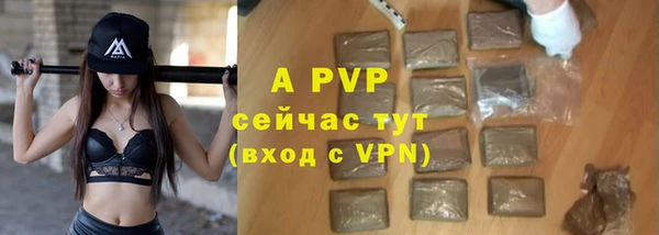 гашик Балахна