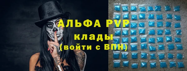 гашик Балахна