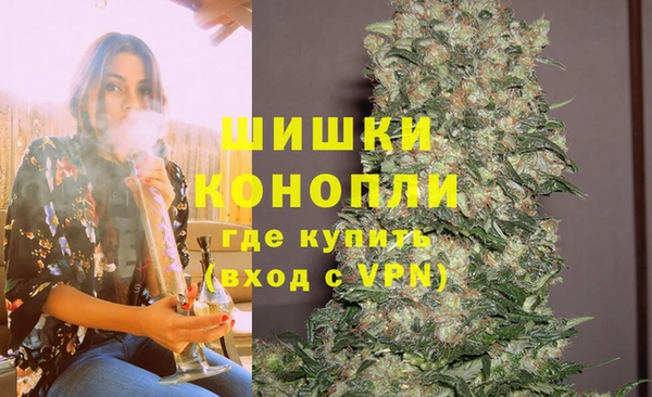 гашик Балахна