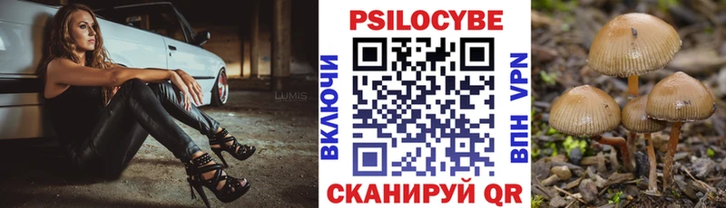 цены наркотик  ссылка на мегу как зайти  Галлюциногенные грибы Psilocybe  Горно-Алтайск 