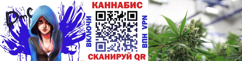 где купить наркоту  Горно-Алтайск  Марихуана White Widow 